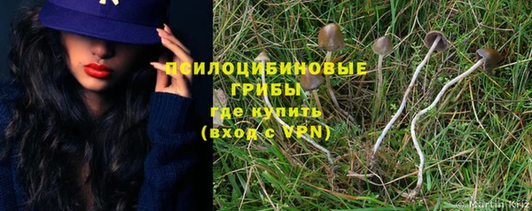 наркотики Бородино